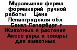 Муравьиная ферма (формикарий) ручной работы. › Цена ­ 15 000 - Ленинградская обл., Санкт-Петербург г. Животные и растения » Аксесcуары и товары для животных   